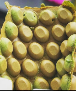 Bánh Trứng Gà Non Matcha